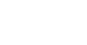 Flash.co